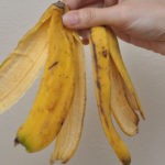 Банановая кожура для комнатных растений сотворит чудо